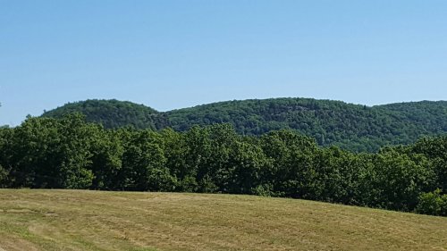 Lush green hills under a clear blue sky, with a grassy field in the foreground.