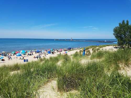 A sunny beach scene with people relaxing under umbrellas, grassy dunes in the foreground, and a pier in the distance.