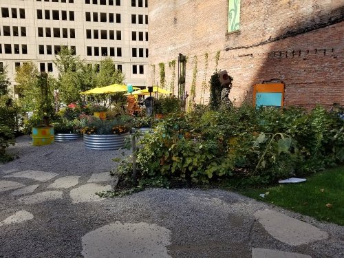 A vibrant urban garden with colorful plants, metal planters, and yellow umbrellas against a brick wall backdrop.