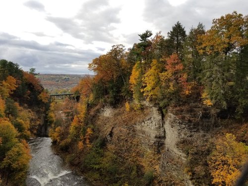 A scenic view of a canyon with colorful autumn trees and a river flowing below, under a cloudy sky.