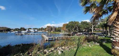 A serene lakeside view with docks, lush greenery, and a clear blue sky, framed by palm trees.