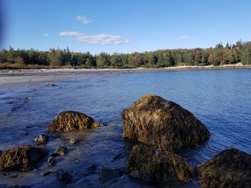 A serene beach scene with rocky formations, clear water, and a backdrop of trees under a blue sky.