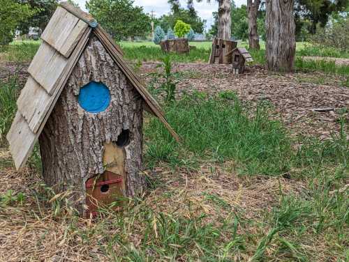 A whimsical birdhouse made of wood, resembling a small house, surrounded by grass and trees in a natural setting.