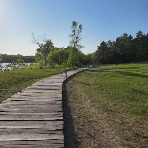 A wooden path winds through a grassy area near a calm body of water, surrounded by trees under a clear blue sky.