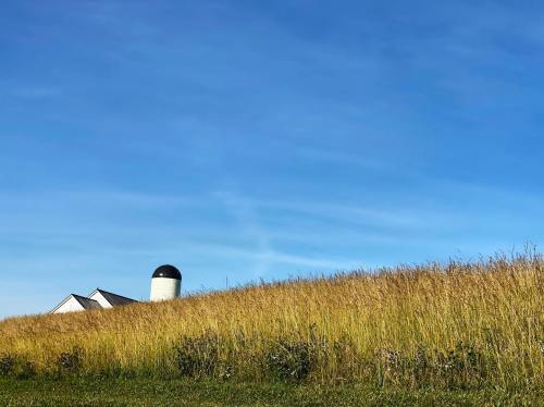 A grassy hill under a clear blue sky, featuring a white barn and a silo in the background.