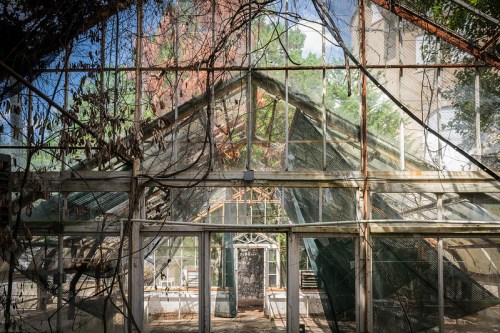 Abandoned greenhouse with broken glass, overgrown plants, and a view of trees outside, creating a haunting atmosphere.