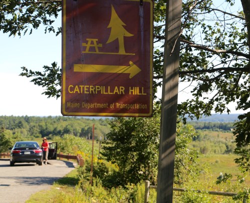 Sign for Caterpillar Hill with a picnic symbol and directional arrow, surrounded by trees and a scenic landscape.