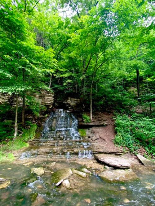A serene waterfall cascades over rocks, surrounded by lush green trees in a tranquil forest setting.