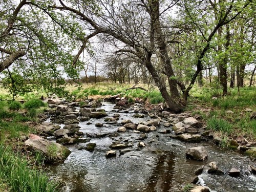 A serene stream flows through a rocky landscape, surrounded by lush greenery and trees under a cloudy sky.