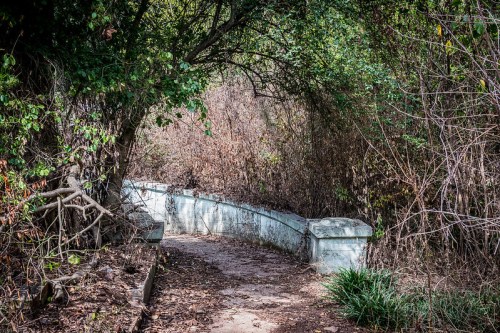 A winding path through overgrown vegetation, leading to a weathered stone bridge partially hidden by trees.