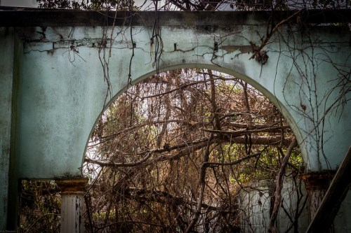 An archway framed by overgrown vines and branches, revealing a glimpse of nature reclaiming an abandoned structure.