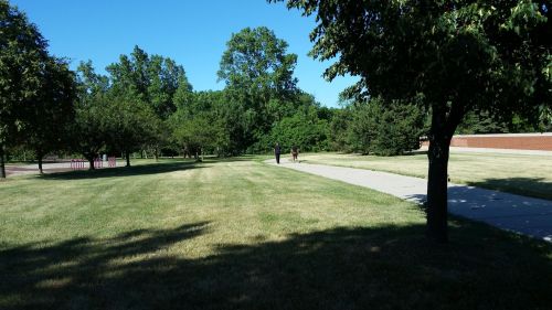 A sunny park scene with green trees, a grassy area, and a paved path where two people are walking.