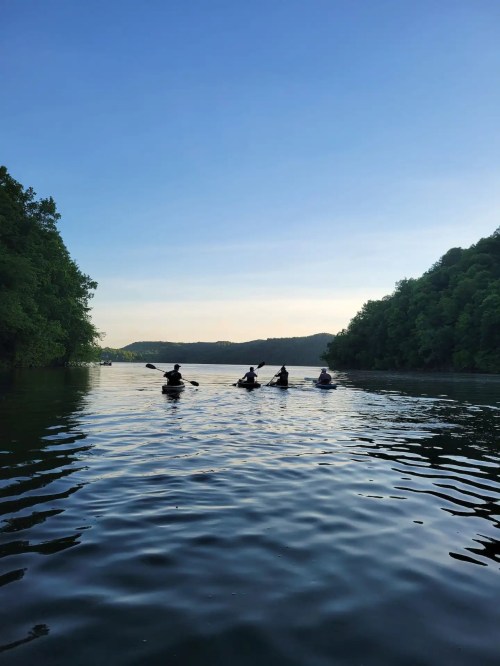 Four kayakers paddle along a calm river, surrounded by lush green hills under a clear blue sky.