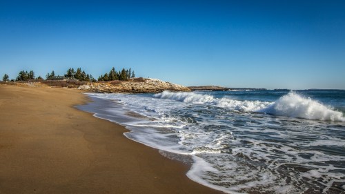 A serene beach scene with gentle waves lapping at the sandy shore under a clear blue sky. Pine trees line the background.
