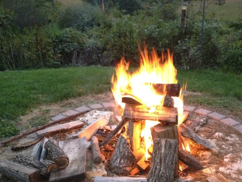 A vibrant campfire surrounded by logs, with a lush green landscape in the background. Flames dance brightly.