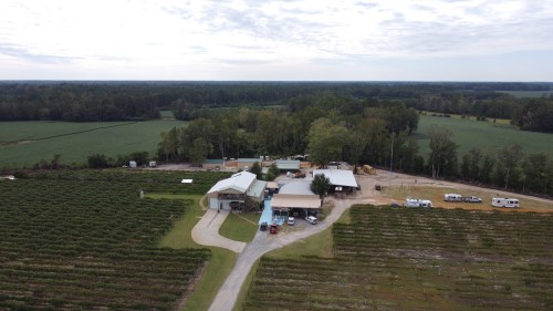 Aerial view of a farm with buildings, surrounded by fields and trees under a cloudy sky.