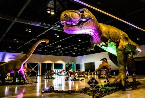 A large dinosaur exhibit featuring a T. rex and other dinosaur models in a dimly lit indoor space.
