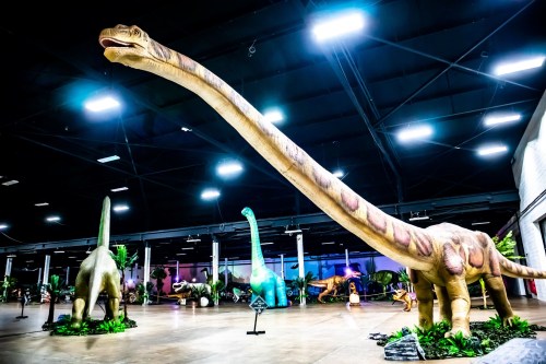 A spacious exhibit featuring life-sized dinosaur models, including long-necked brachiosauruses, surrounded by greenery.