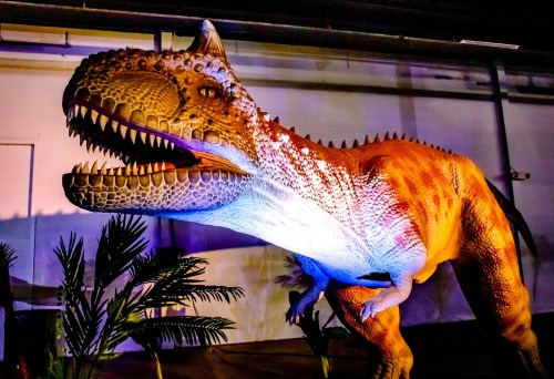 A large, colorful dinosaur model with sharp teeth, displayed in a dimly lit environment with tropical plants.