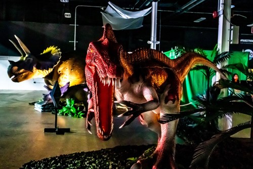 Two large dinosaur models in a dimly lit exhibit, one roaring and the other in the background, surrounded by greenery.