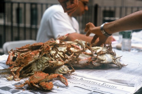 A table covered with crabs on newspaper, with hands reaching for the seafood in a casual dining setting.
