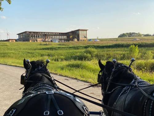 Two black horses in harness, with a modern building in the background, surrounded by green fields under a clear sky.