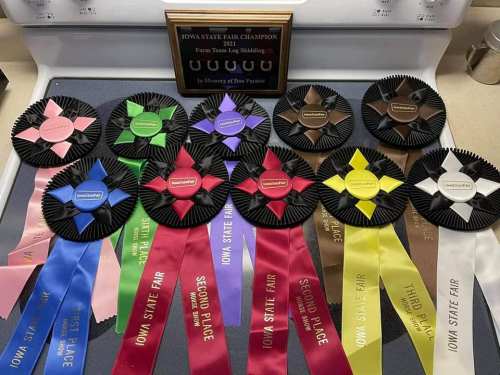 A collection of award ribbons and a plaque, showcasing various placements from the Iowa State Fair.