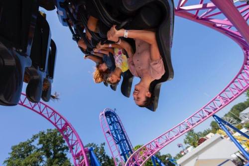 A group of people enjoying a roller coaster ride, with vibrant pink tracks and a clear blue sky in the background.