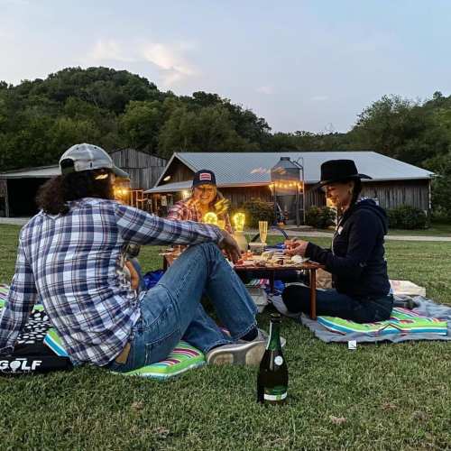 Friends enjoying a picnic at sunset, sitting on a blanket with food and drinks, surrounded by nature.