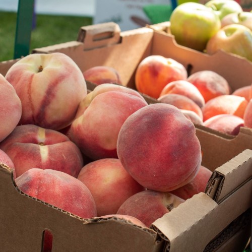Fresh peaches piled in cardboard boxes at a market, with some apples visible in the background.