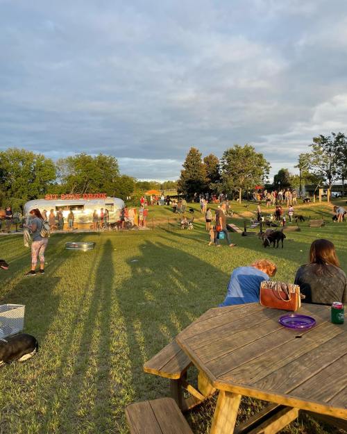 A lively outdoor gathering with people and dogs on a grassy field, picnic tables, and a food truck in the background.