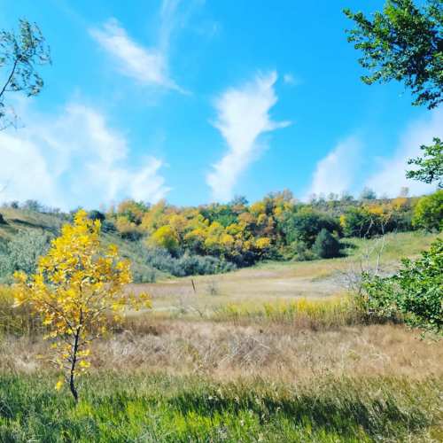 A scenic landscape featuring rolling hills, colorful autumn trees, and a bright blue sky with wispy clouds.