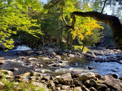 A serene river flows through a rocky landscape, surrounded by lush green trees and a hint of autumn colors.
