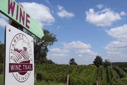 Sign for Shawnee Hills Wine Trail in Illinois, with lush vineyards and a blue sky dotted with clouds in the background.