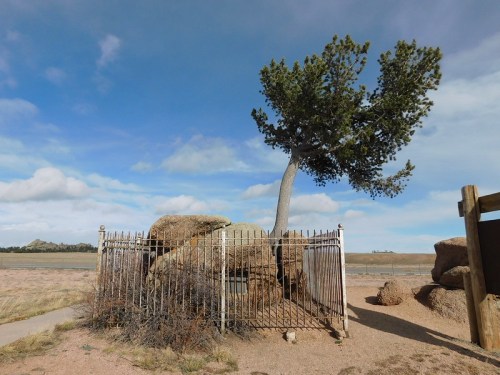 A tree grows through a fence surrounding large rocks under a blue sky with scattered clouds.