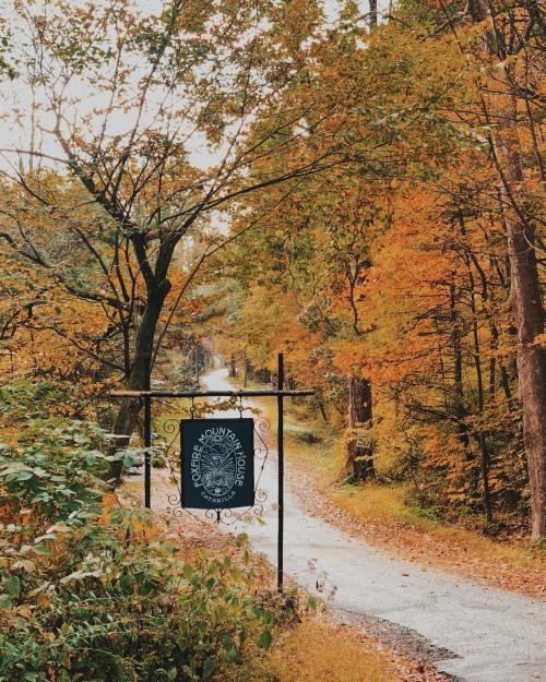 A winding road through vibrant autumn trees, with a sign for "Copper Country Lodge" visible.