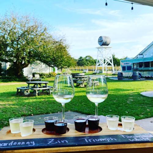 A wooden flight board with wine glasses and tasting samples, set outdoors with picnic tables and a water tower in the background.
