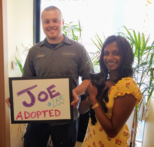 A man and a woman hold a black cat and a sign that says "Joe #285 Adopted" in a bright, plant-filled room.