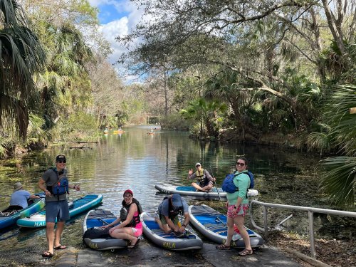 Group of people preparing to paddleboard on a serene river surrounded by lush greenery and palm trees.