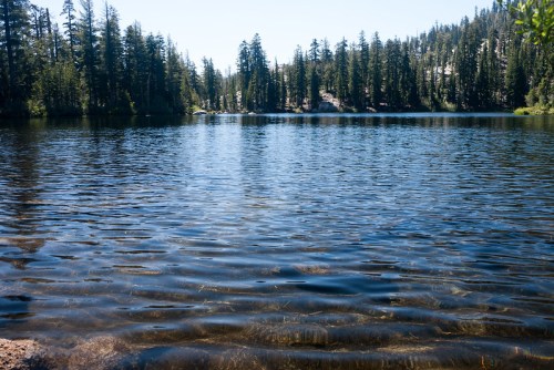A serene lake surrounded by tall trees, with gentle ripples on the water's surface under a clear blue sky.