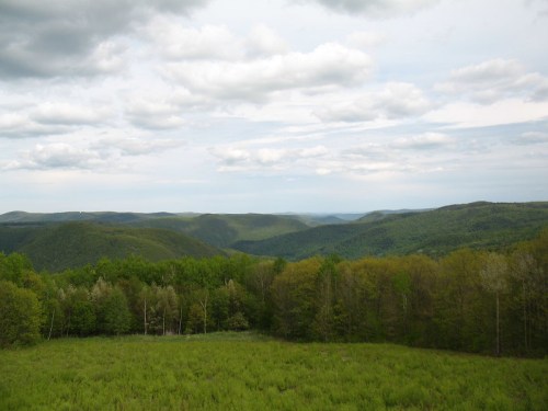 A panoramic view of rolling green hills under a cloudy sky, with lush trees in the foreground.
