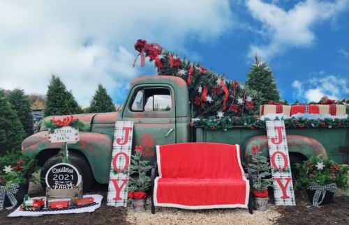 A vintage green truck decorated with a Christmas tree, gifts, and festive plants, with a red bench in front.