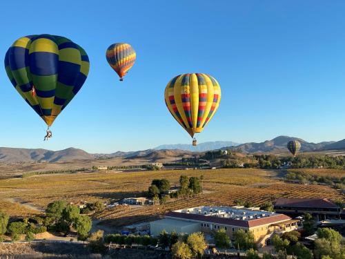 Three colorful hot air balloons float over a vineyard landscape with mountains in the background under a clear blue sky.