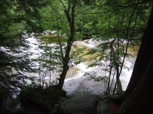 A serene river flows through a lush green forest, surrounded by trees and rocky banks.