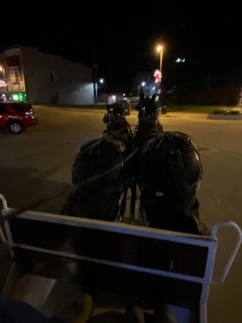 Two horses in harness, seen from behind, standing in a dimly lit street at night.