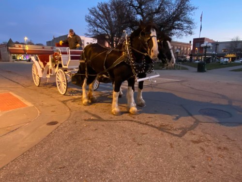 A horse-drawn carriage waits at a street corner, with a driver seated in the carriage as dusk approaches.