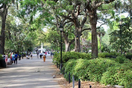 A tree-lined path in a park with people walking, a fountain in the background, and lush greenery on either side.