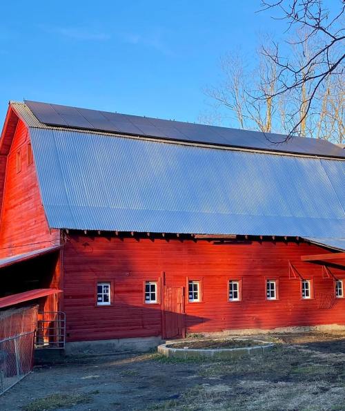 A red barn with a metal roof, surrounded by trees and a clear blue sky.