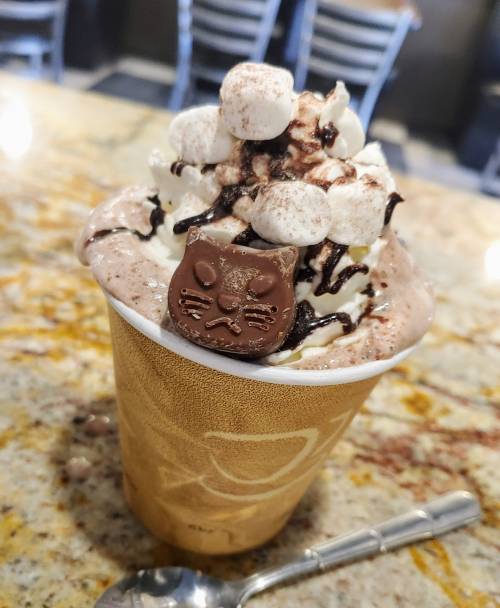 A cup of chocolate dessert topped with whipped cream, marshmallows, chocolate drizzle, and a cat-shaped chocolate piece.