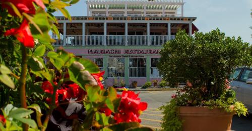 A colorful view of Mariachi Restaurant, framed by vibrant flowers and greenery in the foreground.